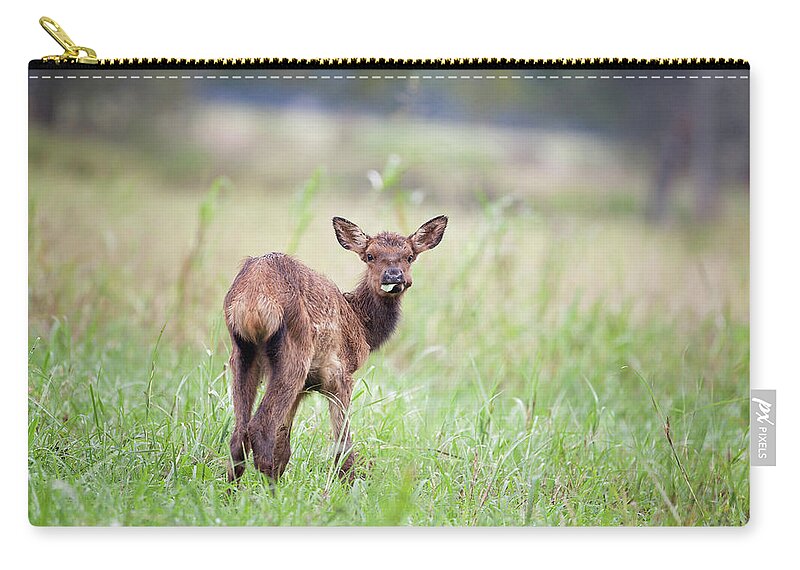 Elk Zip Pouch featuring the photograph Don't Talk With Your Mouth Full. by Eilish Palmer