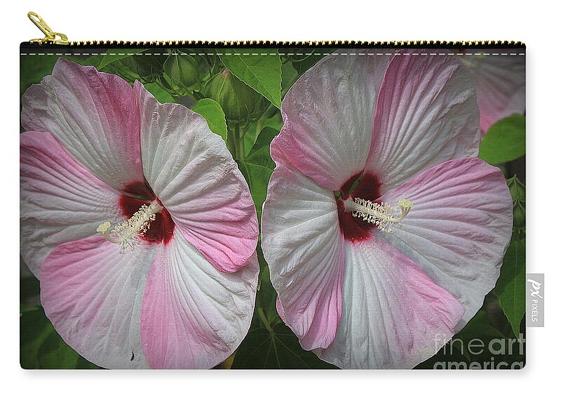 Hibiscus Zip Pouch featuring the photograph Double Beauty - Pink on White Hibiscus by Dora Sofia Caputo