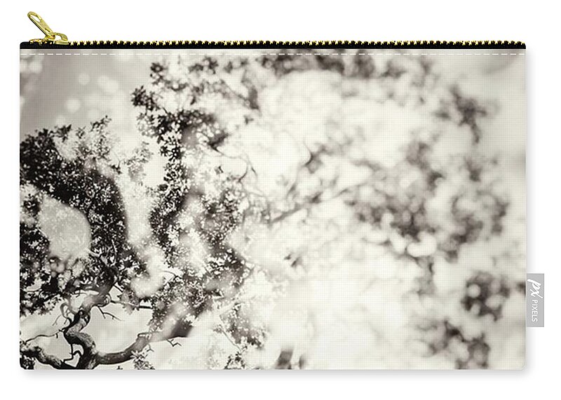 Bestoftheday Zip Pouch featuring the photograph Double Exposure Tree Abstract That by John Williams