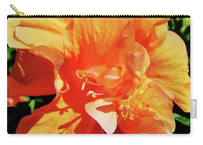 Hibiscus Zip Pouch featuring the photograph Double Hibiscus by D Hackett
