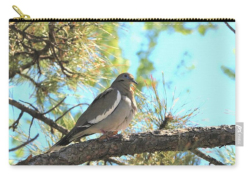 Nature Zip Pouch featuring the photograph Dove in Pine Tree by Sheila Brown