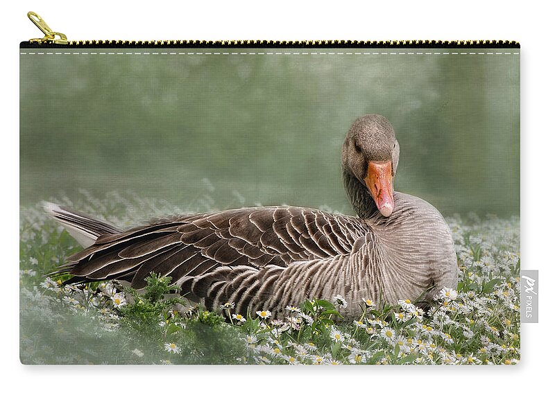 Good Zip Pouch featuring the photograph Down With The Daisies 2 by Linsey Williams