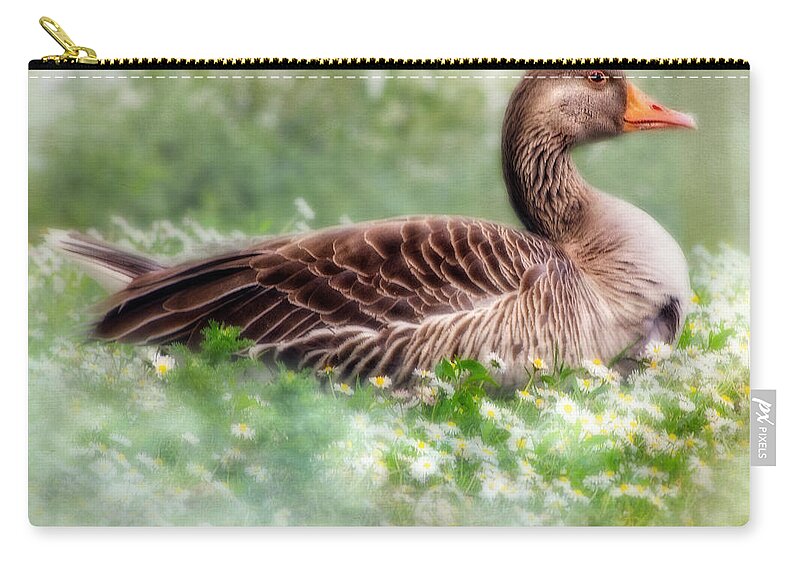 Green Zip Pouch featuring the photograph Down With The Daisies by Linsey Williams