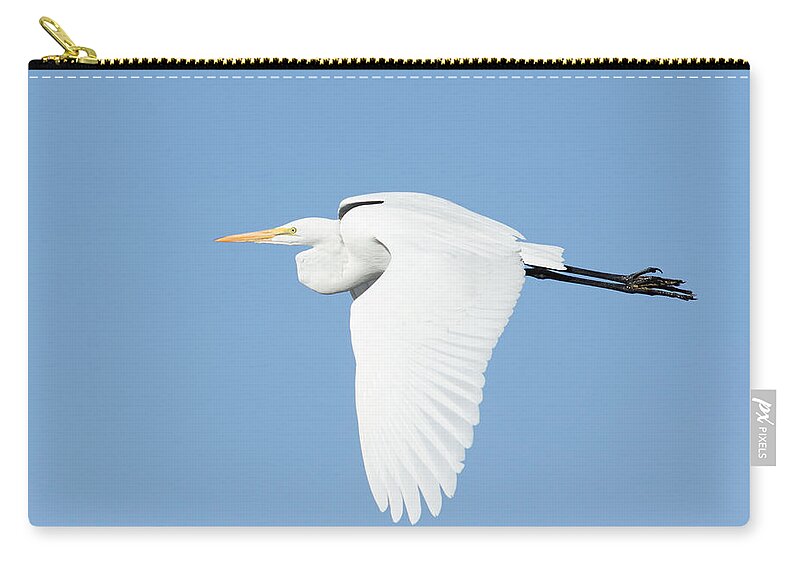 Darin Volpe Animals Zip Pouch featuring the photograph Downstroke -- Great Egret at Atascadero Lake Park, California by Darin Volpe