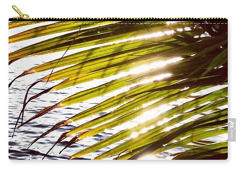 Palm Carry-all Pouch featuring the photograph Downtown by Denise Railey