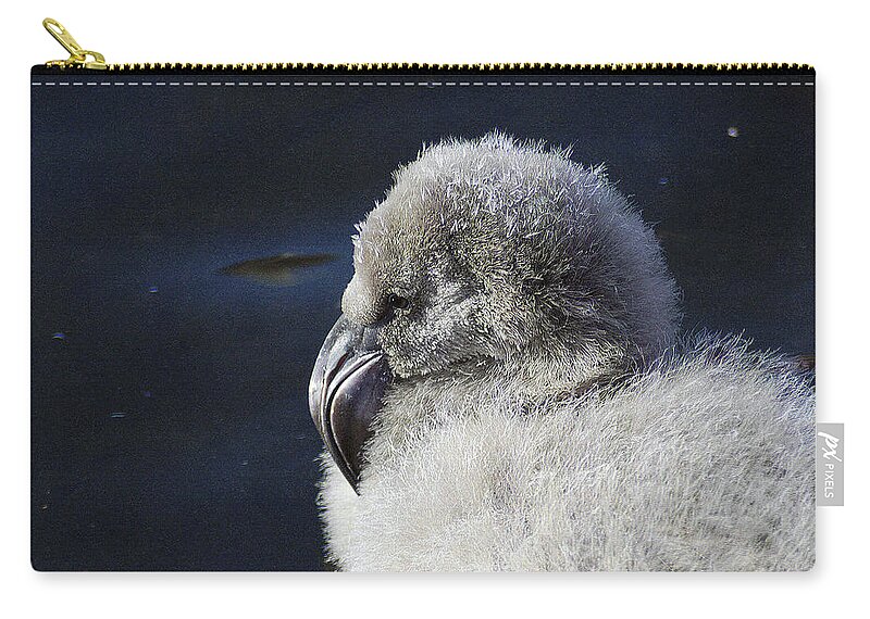 Memphis Zip Pouch featuring the photograph Downy - Baby Flamingo by DArcy Evans