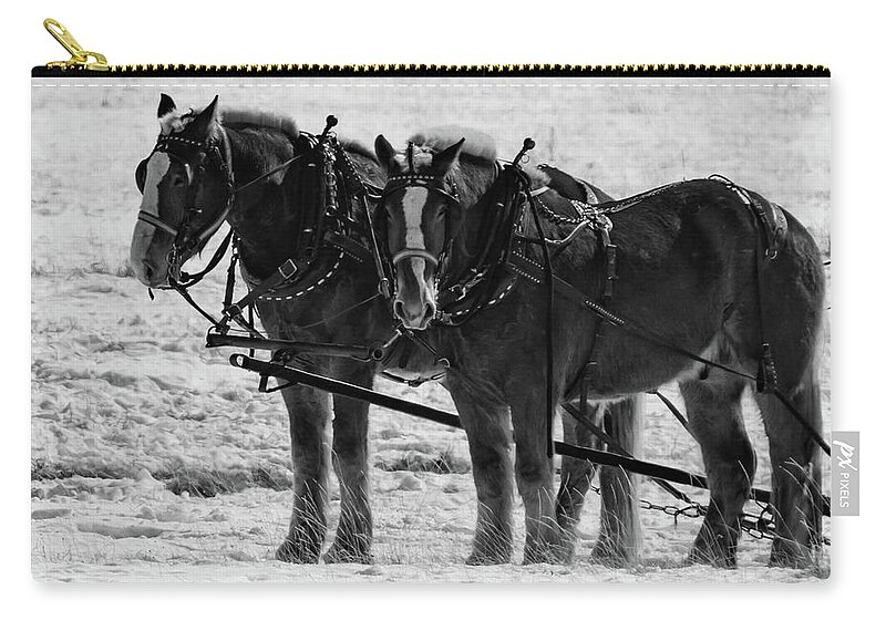 Horse Zip Pouch featuring the photograph Draft Team by Jody Partin