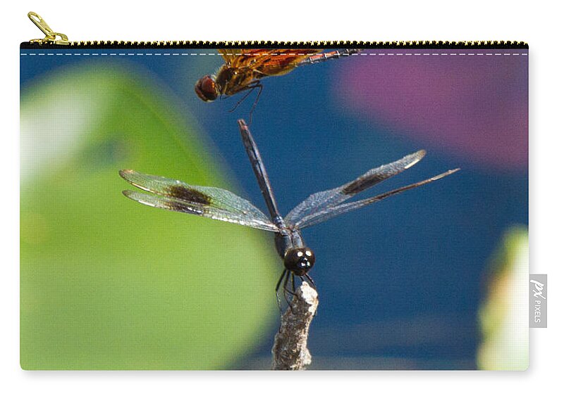 Dragon Fly Carry-all Pouch featuring the photograph Dragon Fly 195 by Michael Fryd