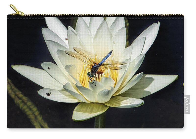 Dragon Fly Zip Pouch featuring the photograph Dragon Fly on Lily by John Rivera