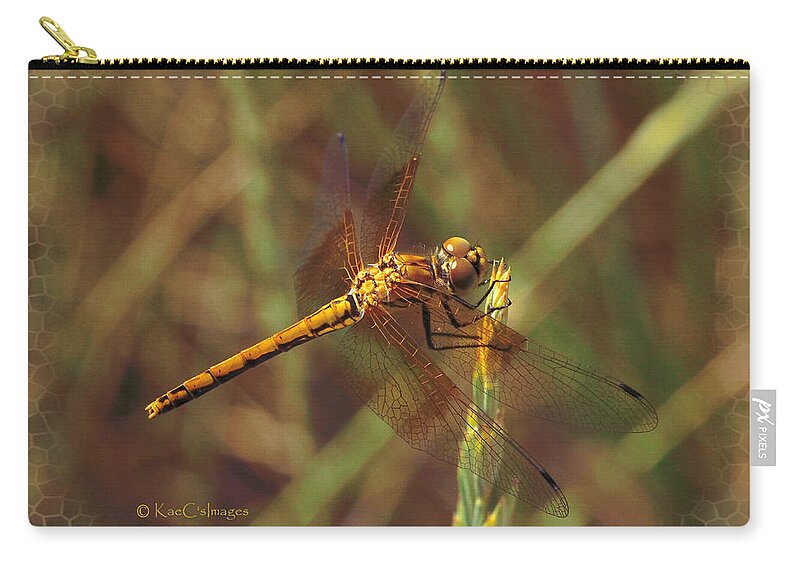 Dragonfly Zip Pouch featuring the mixed media Dragonfly 1 by Kae Cheatham
