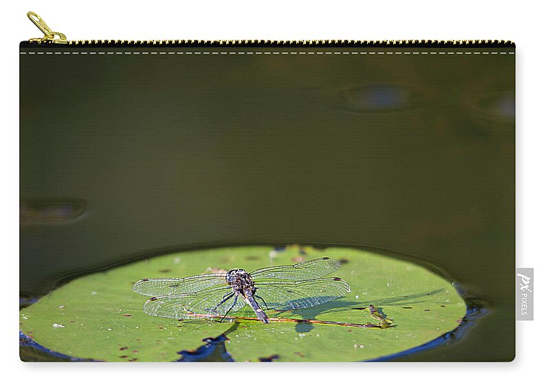 Dragonfly Zip Pouch featuring the photograph Dragonfly by Benjamin Dahl
