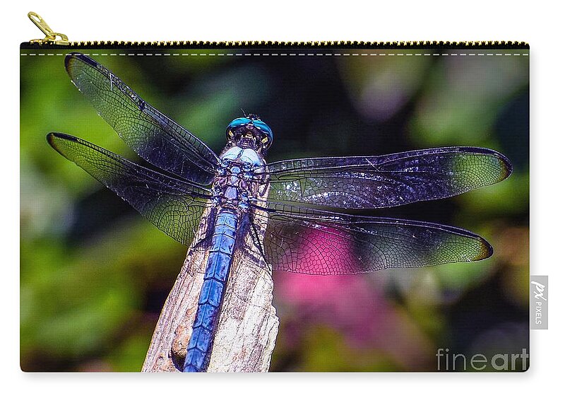 Nature Zip Pouch featuring the photograph Dragonfly by DB Hayes