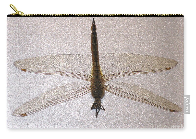 Dragonfly Beautiful Collection Zip Pouch featuring the photograph Dragonfly Collection. Image 8. Promotion by Oksana Semenchenko