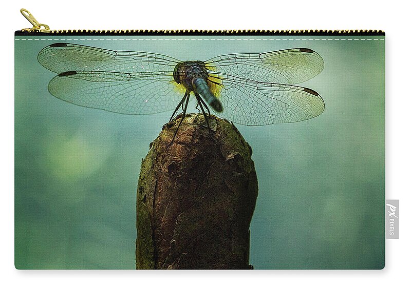 Dragonfly Carry-all Pouch featuring the photograph Dragonfly Dreams by Doug Sturgess