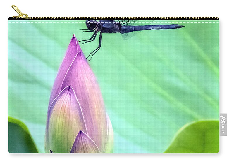Dragonfly Zip Pouch featuring the photograph Dragonfly landing on a Lotus Blossom by William Bitman