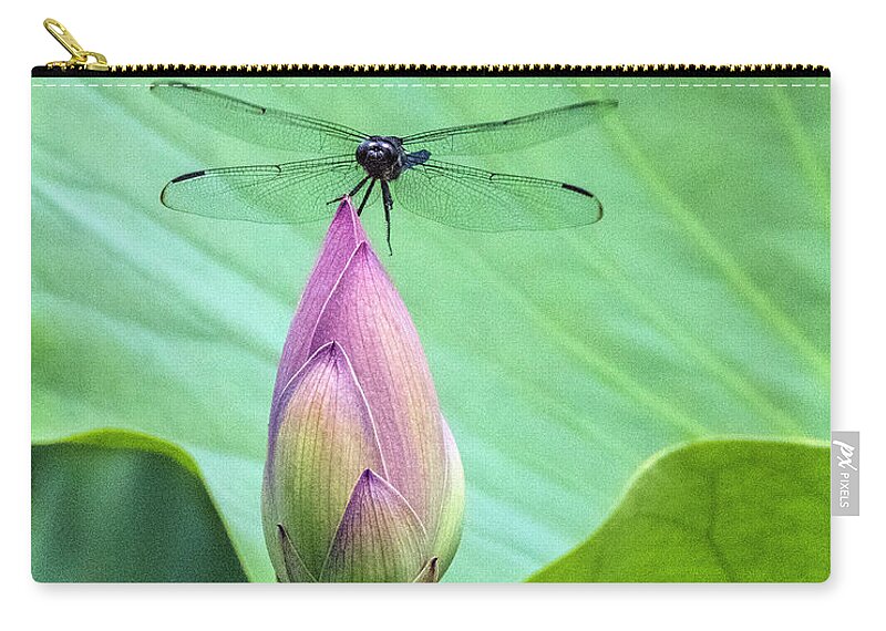Dragonfly Zip Pouch featuring the photograph Dragonfly Landing on Lotus by William Bitman