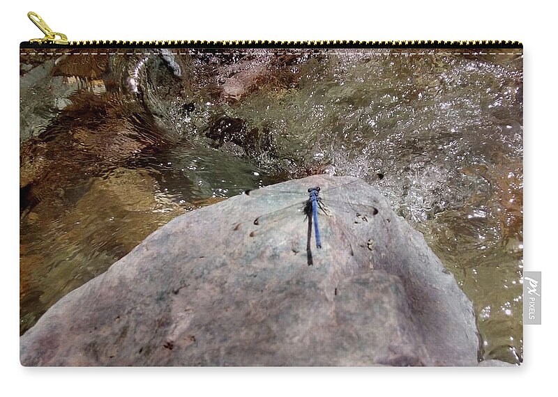 Dragonfly Zip Pouch featuring the photograph Dragonfly by Mariel Mcmeeking