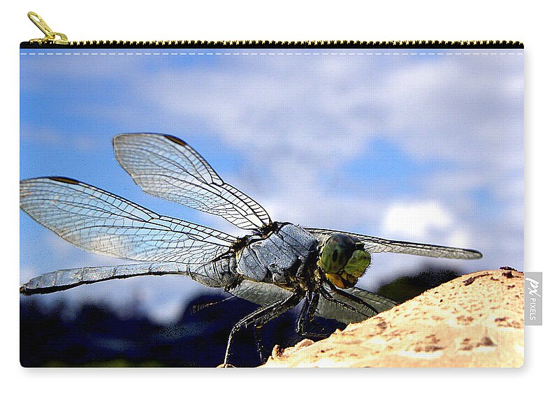 Dragonfly Zip Pouch featuring the photograph Dragonfly on a mushroom 001 by Christopher Mercer