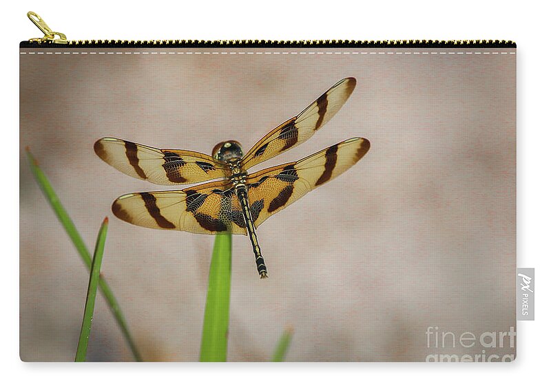 Dragonfly Zip Pouch featuring the photograph Dragonfly on Grass by Tom Claud