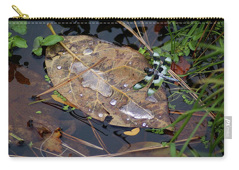 Nature Zip Pouch featuring the photograph Dragonfly on Leaf in Creek by Ben Upham III
