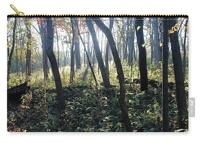 Tree Zip Pouch featuring the photograph Dramatic Sunlight in a forest during Autumn by Adam Long