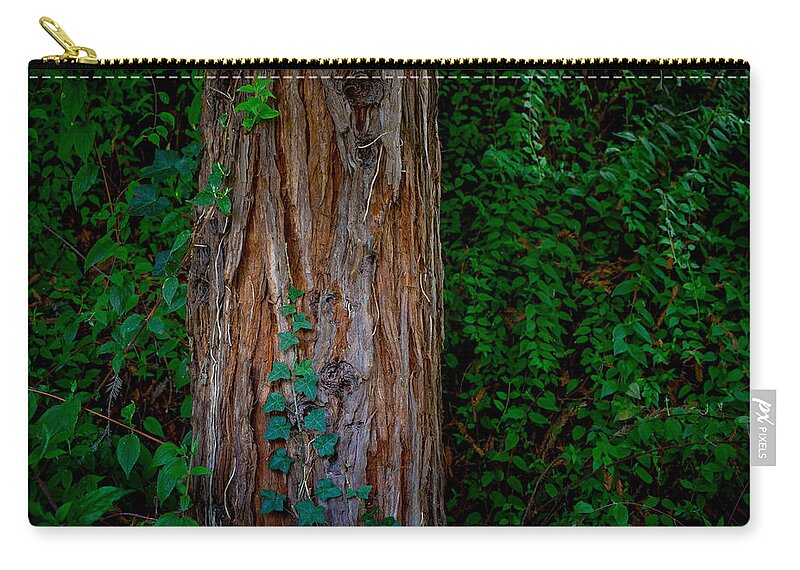 Tree Carry-all Pouch featuring the photograph Dream World 17 by Derek Dean