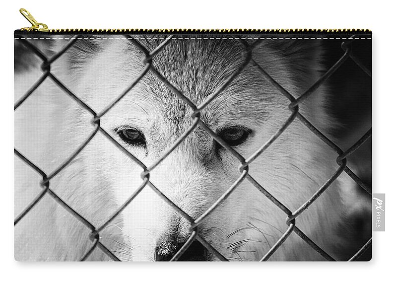 Animals In Nature Zip Pouch featuring the photograph Dreams of Freedom by PIPA Fine Art - Simply Solid