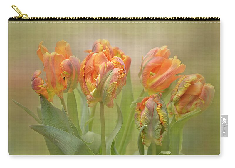 Abstract Zip Pouch featuring the photograph Dreamy Parrot Tulips by Ann Bridges
