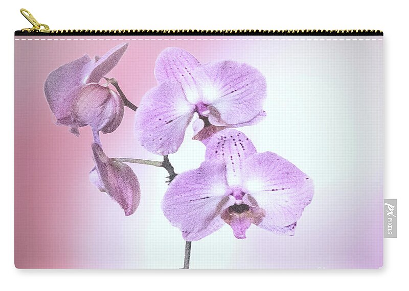 Flowers Zip Pouch featuring the photograph Dreamy Pink Orchid by Linda Phelps