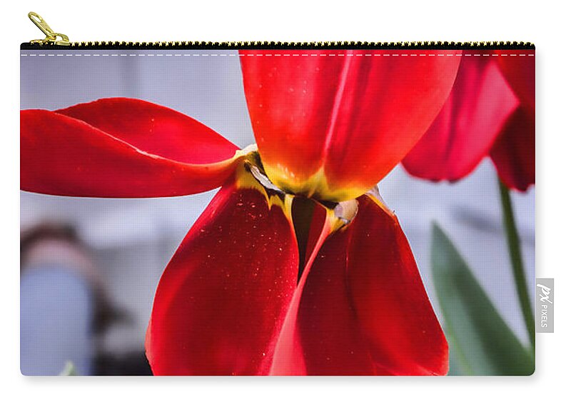Pollen Zip Pouch featuring the photograph Drenched in Pollen Tulip by Roberta Byram