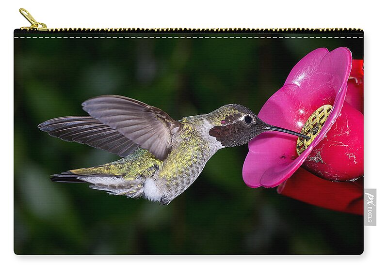 Hummingbird Zip Pouch featuring the photograph Drink Deep by Greg Nyquist