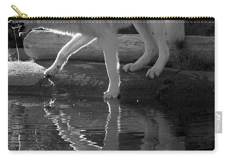 Black And White Zip Pouch featuring the photograph Dripping After A Drink - Black And White by Adam Jewell