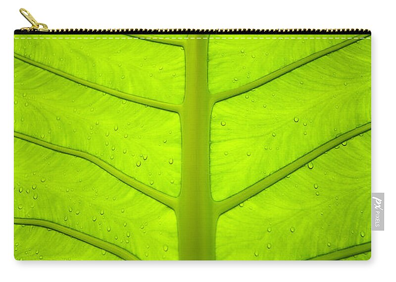 Agriculture Zip Pouch featuring the photograph Droplets on Green Leaf by Bill Brennan - Printscapes