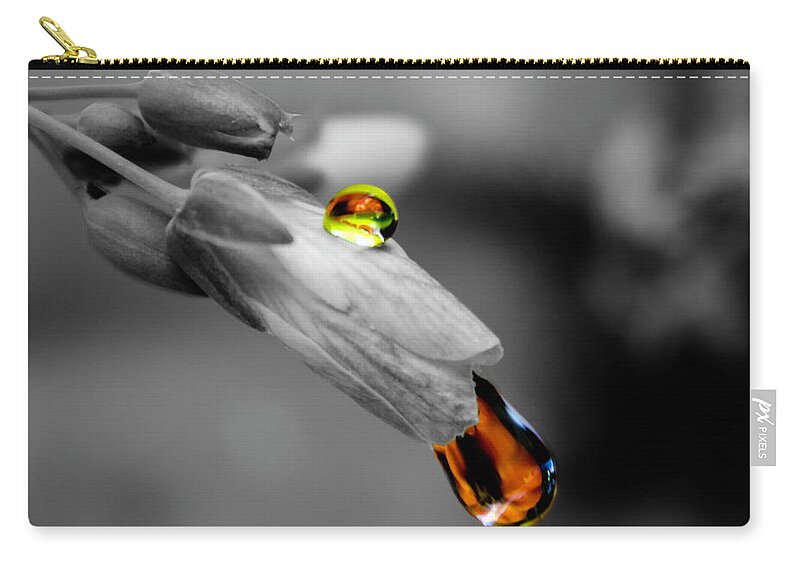 Drops Zip Pouch featuring the photograph Drops on a blossom by Wolfgang Stocker