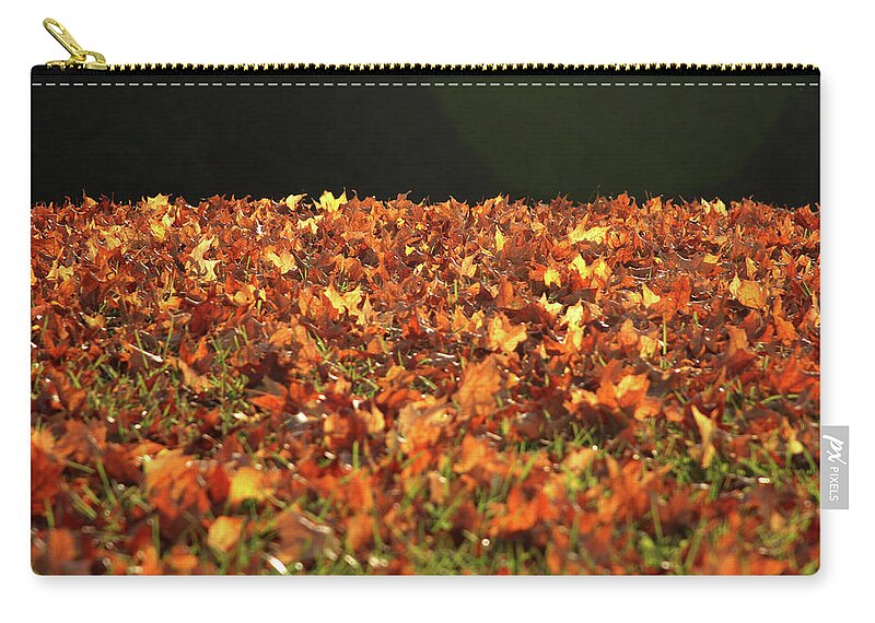 Dry Zip Pouch featuring the photograph Dry maple leaves covering the ground by Emanuel Tanjala