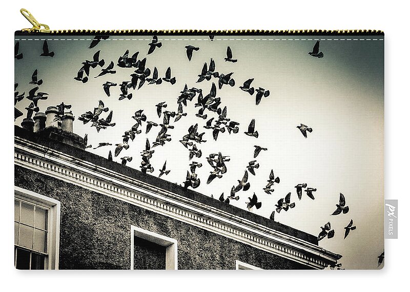 Pigeons Zip Pouch featuring the photograph Flight over Oscar Wilde's hood, Dublin by Jennifer Wright