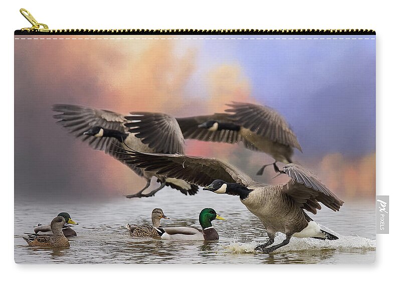 Canada Geese Zip Pouch featuring the photograph Duck Ducks 2 by Randy Hall