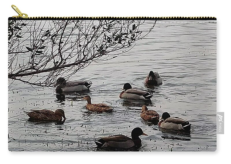 Mighty Sight Studio Zip Pouch featuring the photograph Duck Love by Steve Sperry