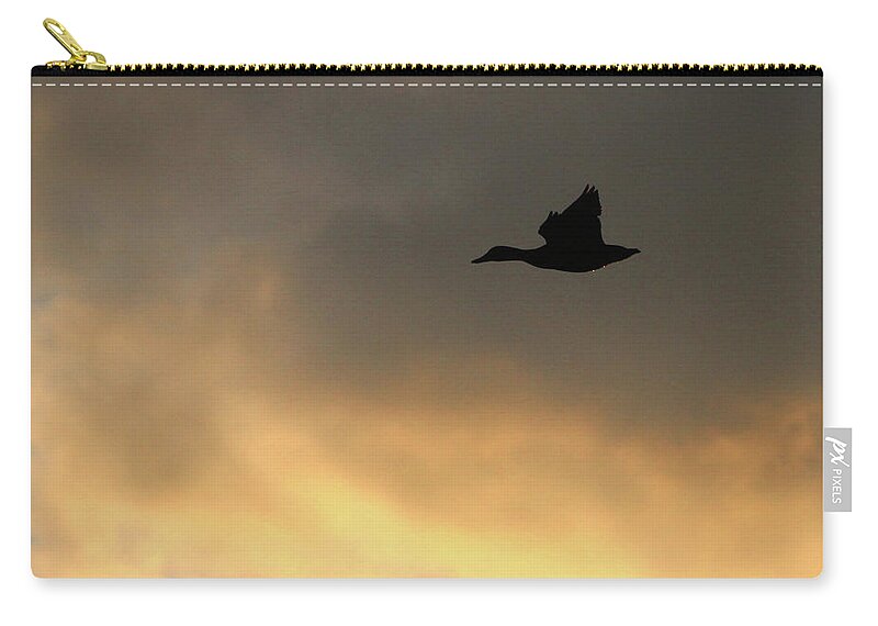 Duck Zip Pouch featuring the photograph Duck Port Jefferson New York by Bob Savage
