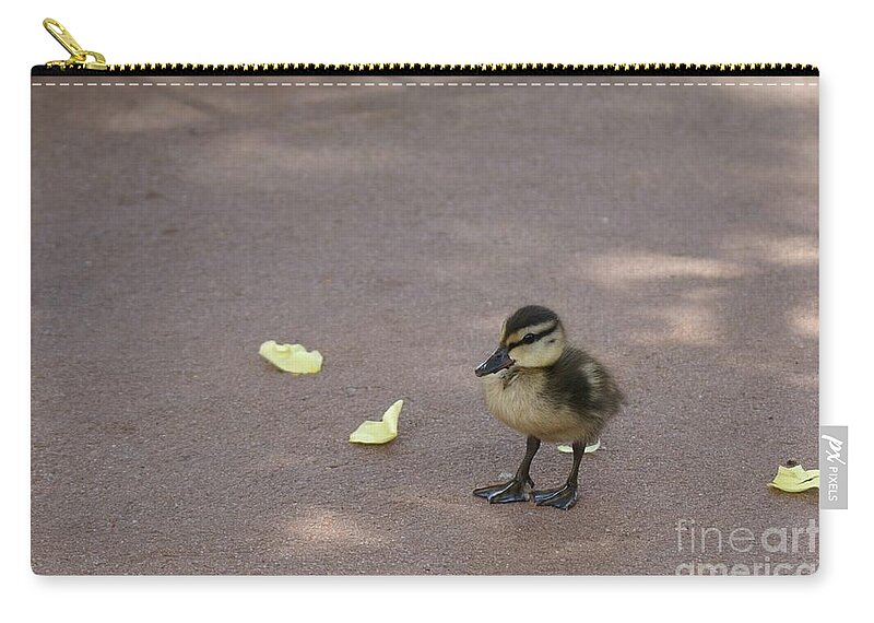 Duck Zip Pouch featuring the photograph Duckling by Susan Cliett