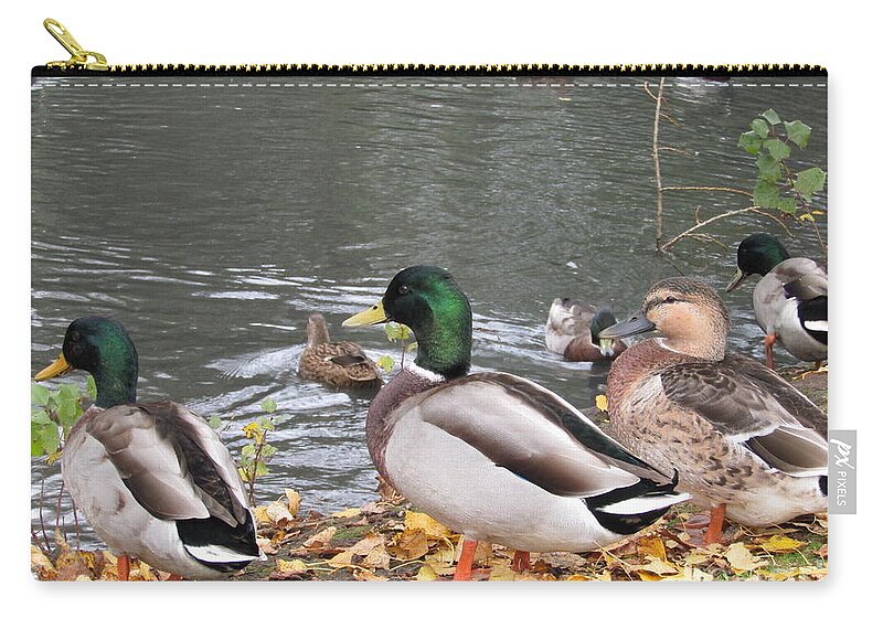 Ducks Zip Pouch featuring the photograph Ducks By The Pond by Kim Tran