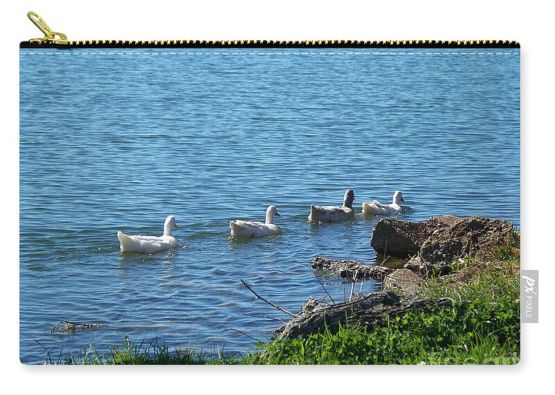 Ducks In A Row Zip Pouch featuring the photograph Ducks In A Row by Seaux-N-Seau Soileau