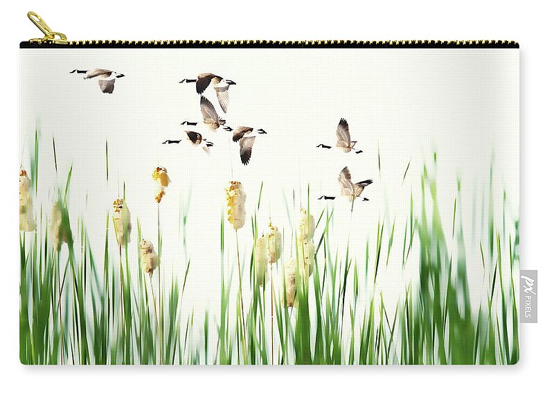 Ducks Zip Pouch featuring the photograph Ducks in Flight - Migration by Andrea Kollo