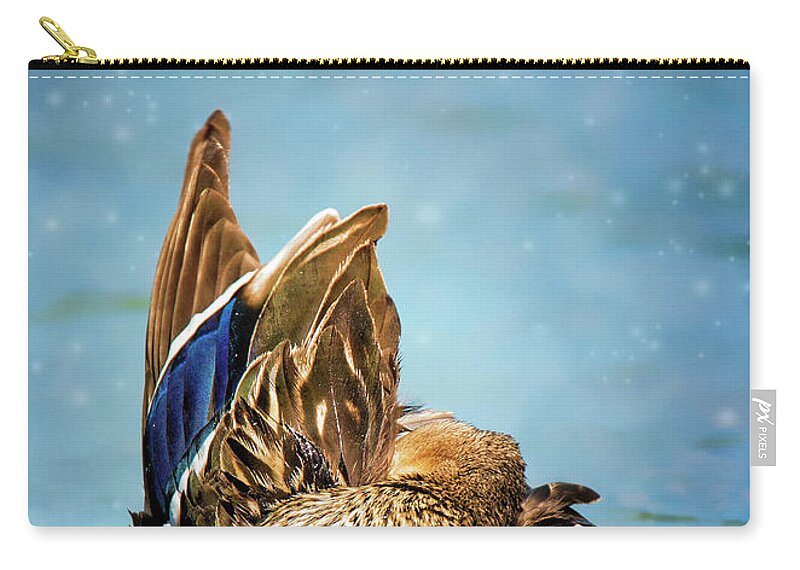Bird Zip Pouch featuring the photograph Ducky Grooming On Blue by Bill and Linda Tiepelman