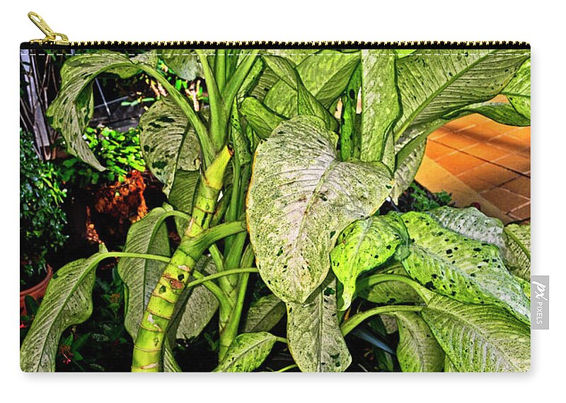 Plant Zip Pouch featuring the photograph Dumb Cane 001 by George Bostian