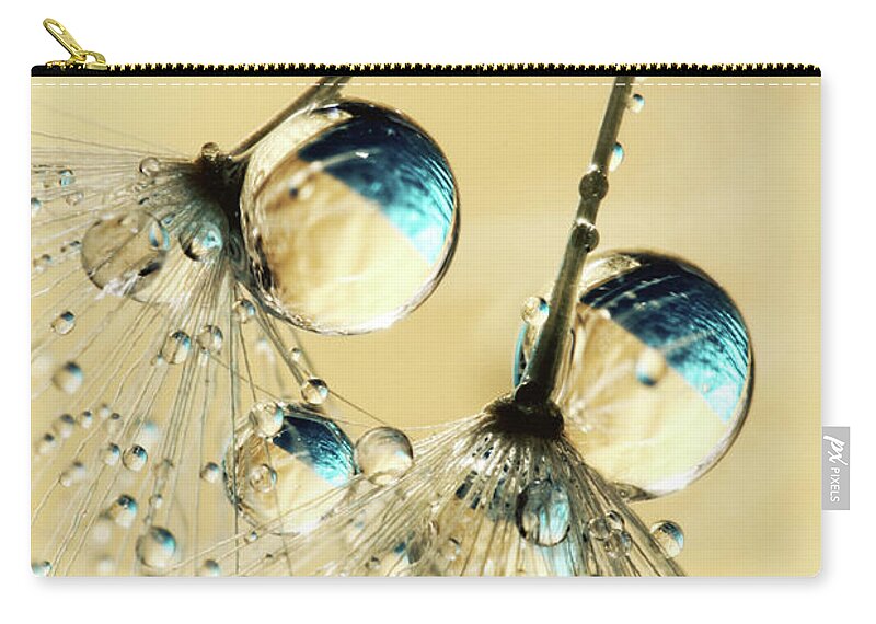 Dandelion Zip Pouch featuring the photograph Duo Shower Dandy Drops by Sharon Johnstone