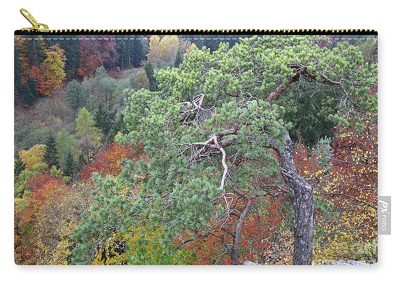 Pine Zip Pouch featuring the photograph Dwarf pine trees over the autumn forest by Michal Boubin