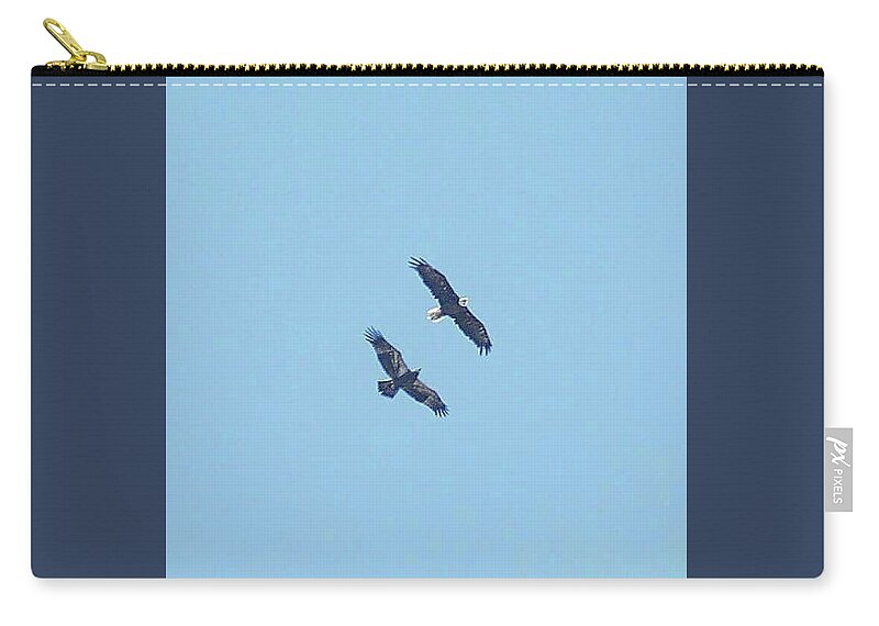 Bald Eagles Zip Pouch featuring the photograph E9 and parent soaring preparing for a new adventure by Liz Grindstaff
