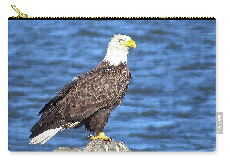 Eagle Zip Pouch featuring the photograph Eagle at East Point by Nancy Patterson