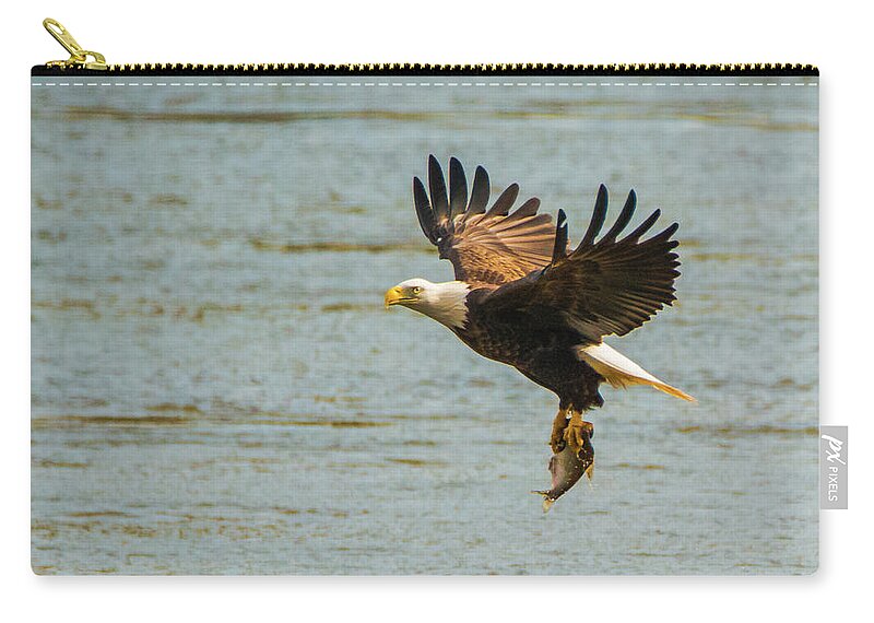 11 November 2016 Zip Pouch featuring the photograph Eagle Departing with Prize Close-Up by Jeff at JSJ Photography